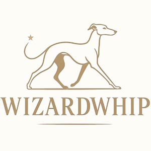 Wizardwhip